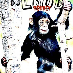 DJ loudmonkeyy