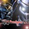 King Predator Production