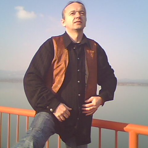 Stream Slavisa Prica O Vasi Ladackom by sulfa73 Listen online for