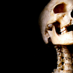 Nobody_In_Particular