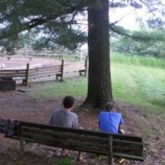 NO!NONONONONONONONONONO