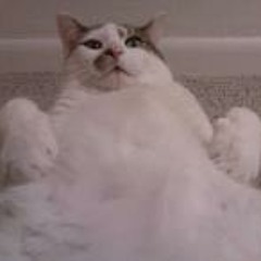 Charles E. Bartlett VII