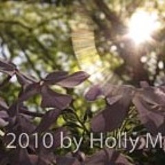 natureslogicphotography