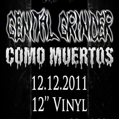 GENITAL GRINDER OFFICIAL