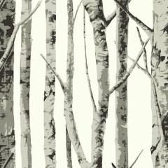 Trevor Vichas - Live @ The Woods