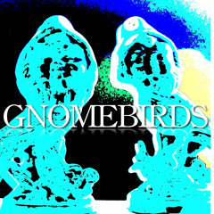 Gnomebirds