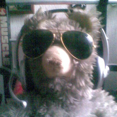 Frans3030 Dj Teddy Beer