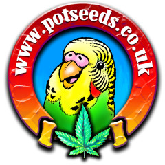 potseeds