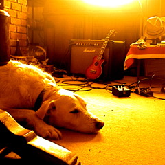 Sir Walter J Wallis...