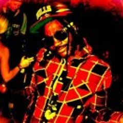 Dum Money Diplomats THK