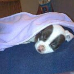 Markeise Bullock Jr.