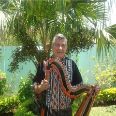 Maestro Virgilio Ibarra Riera