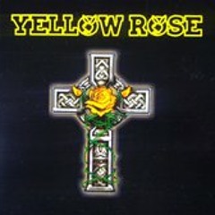 Yellow Rose