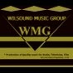 Wilsound Music Group