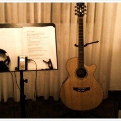 Francisco R.S. Martins