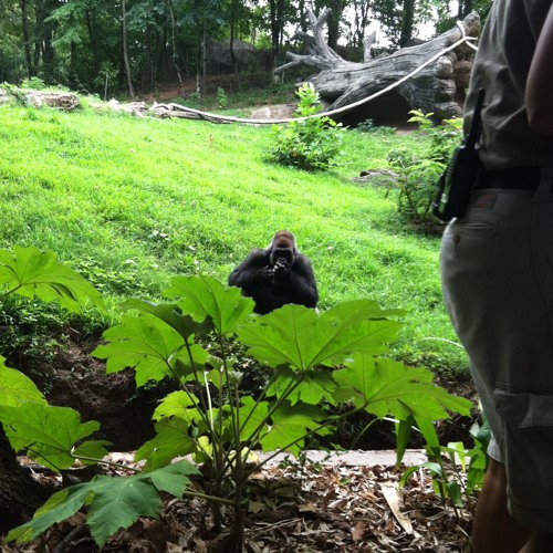 Building 429 - Where I Belong.m4r