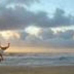 Motoca Davi Teixeira