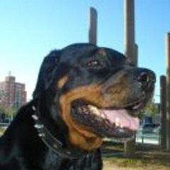 Dj-Furzio popurrimix