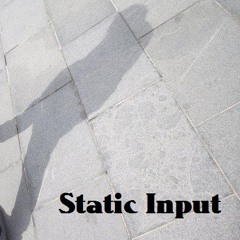 StaticInput