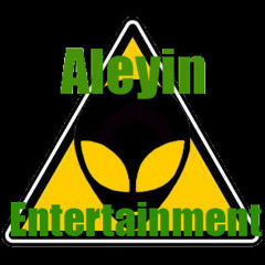 Aleyin Ent.