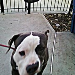 Christopher Easterling