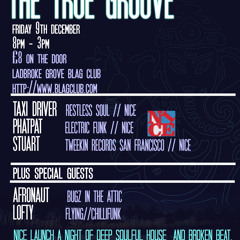 N.I.C.E and hotgingerbeer