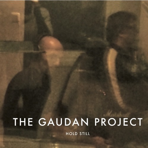 The Gaudan Project’s avatar