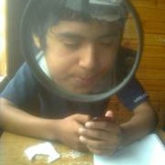 Moises Flores (ScriboMania)