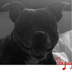 Shepzy