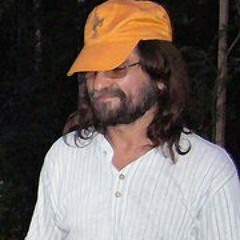 Alexander N Voronkov