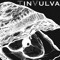 tinvulva