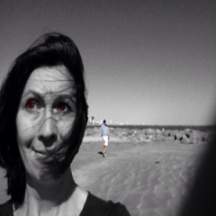 northern lights minnesota