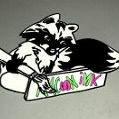 RacoonInk Music