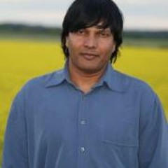 Mindthings - Life's Things