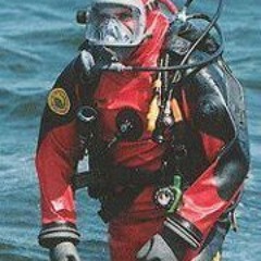 Arlindo Bilous de Sousa