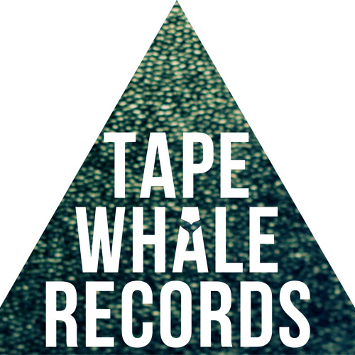 Date Palms - Honey Devash