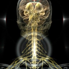 sorokshestoelicoknigi