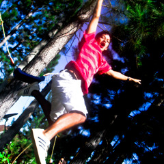 ceedee series orig comp #2 raw