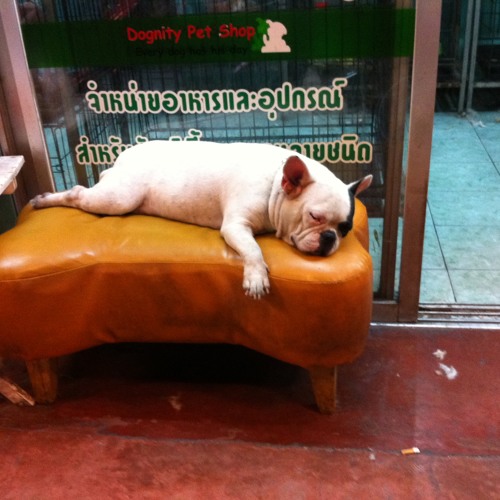Greasy Cafe - ฝืน