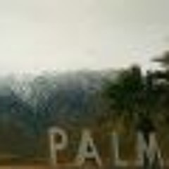 Cannahelp Palm Springs