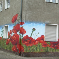 Sam 'RabbitRunner' Powell