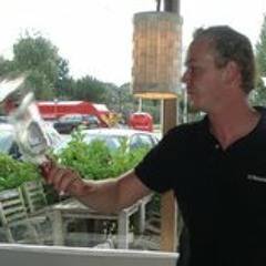 Maarten Van Der Pluijm