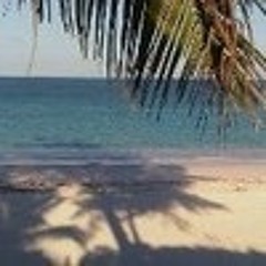 Sarah Simmons Goldstein