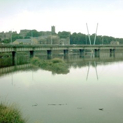 The-dog-at-appleby-fair