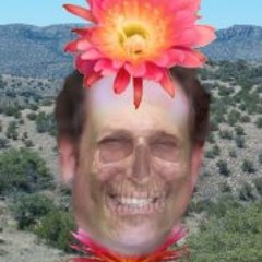 Stephen Brueggerhoff