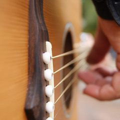 Proibida Pra Mim ( Zeca Baleiro )