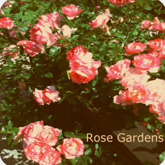 Marine Girls- Lazy ways ( Rose gardens reverb edit)