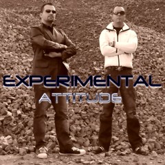 Experimental Attitude