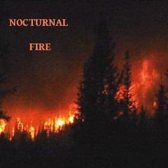 Nocturnal Fire