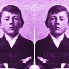 Pink Unicorn